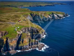 Cape St. Mary's